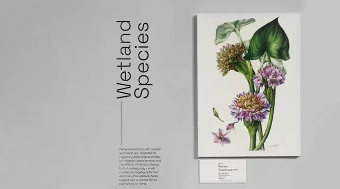 FLORA of Southeast Asia Review